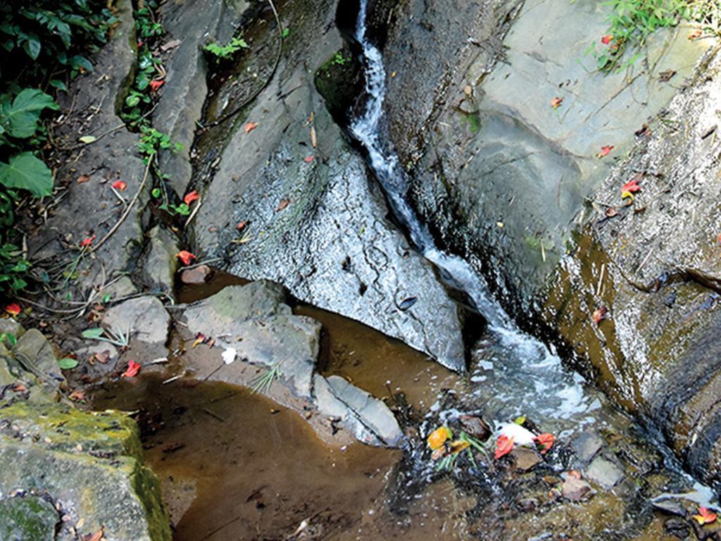 Aronka Homestay Kandy Exteriör bild