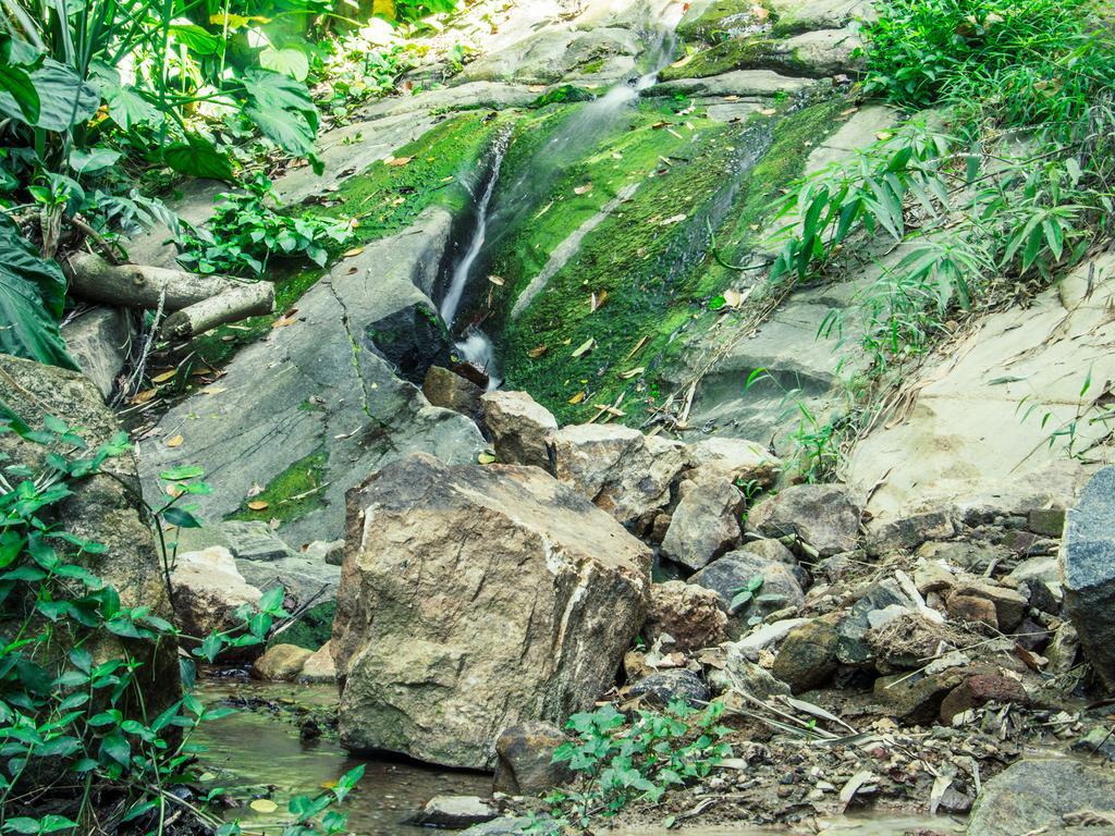 Aronka Homestay Kandy Exteriör bild